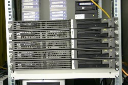 IMG_1554jpg